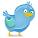 twitter twitter