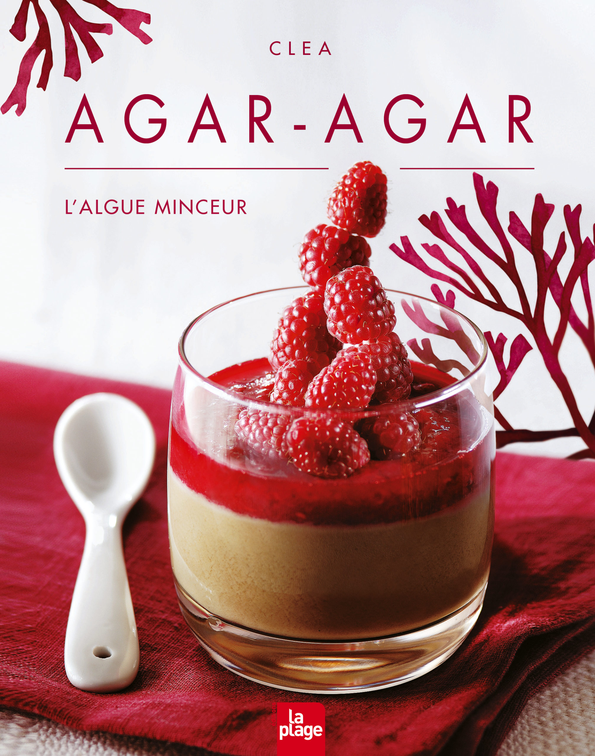 Agar agar, agar agar poudre, agar agar en gros, agar agar kilo